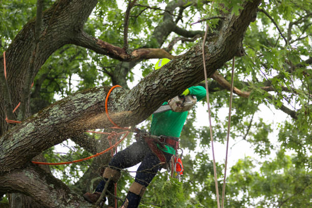 Lawn Irrigation Installation and Maintenance in Kempner, TX